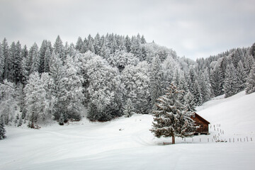 Winterlandschaft in den Bergen im Allgäu