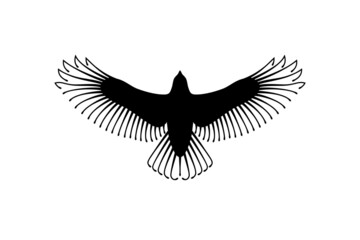 Engraving of stylized hawk. Decorative bird. Linear drawing. Flying bird. Stencil art. Black and white.