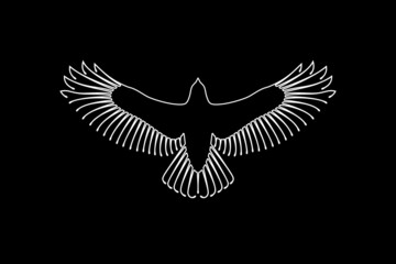 Engraving of stylized hawk. Decorative bird. Linear drawing. Flying bird. Stencil art. Black and white.