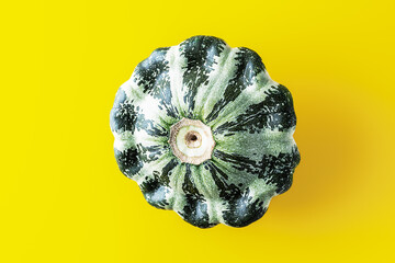 Fresh vegetables of color pattypan squash pumpkins. Autumn composition. Vegetable for healthy nutrition. Flat lay.