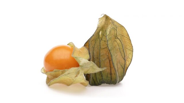 Two physalis fruits with open and closed calix rotating. Isolated on white background.