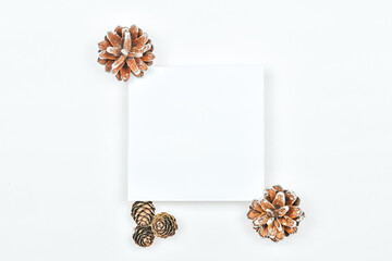 Christmas background with pine cones. White background and small bumps and place for your text