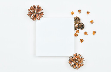 Christmas background with pine cones. White background and small bumps and place for your text