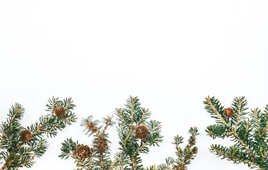 Christmas background. Spruce branches and cones on the background. New Year