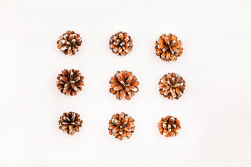 Christmas background with pine cones. White background and small bumps and place for your text