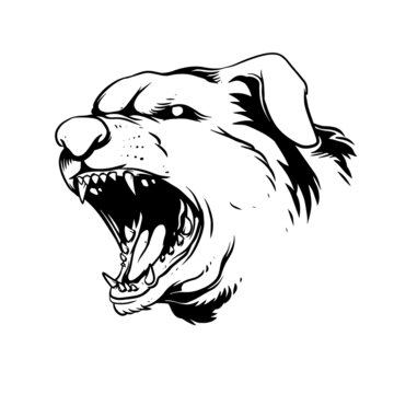 a furious barking dog face. a hand drawn illustration of a wild animal head. line art drawing for emblem, poster, sticker, tattoo, etc.