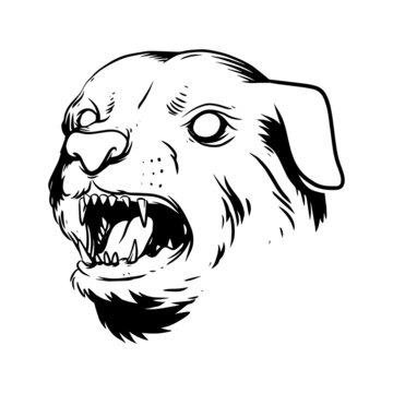 a menacing dog face. a hand drawn illustration of a wild animal head. line art drawing for emblem, poster, sticker, tattoo, etc.