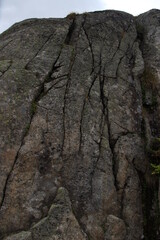 Cracks through the rocks