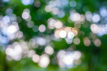 Obraz premium Natural bokeh background at sunset.