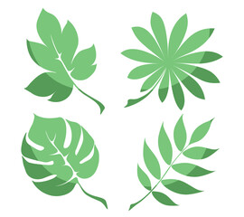 Obraz na płótnie Canvas Vector illustration. Set of leaves of green color. Elements for the decor of postcards. Flat style, leaves with shadow. Monstera, tropical and field plants.