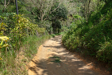 Fototapeta premium paisagem rural de uma estrada de terra rodeada pela vegetação tropical, em um belo dia de sol