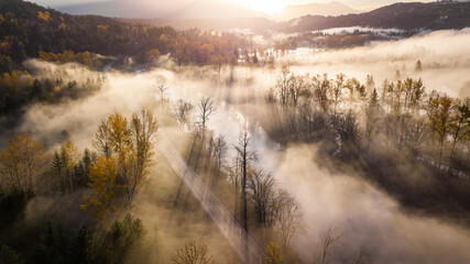 Sunny Fall Colors During Foggy Morning In Washington