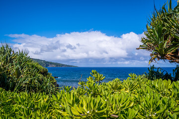 Fototapeta na wymiar An overlooking view of nature in Maui, Hawaii