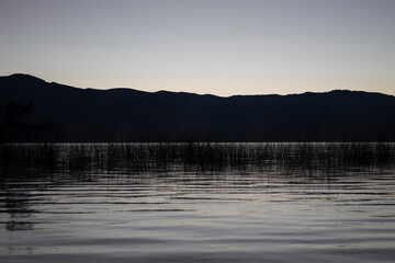 Fototapeta na wymiar beautiful shot of a calm lake with water vegetation and mountains silhouette at sunrise 
