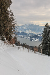 Wanderweg in den Allgäuer Alpen mit Blick zum Großen Alpsee