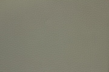 texture of natural aniline leather