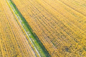 Aerial photo from flying drone of a beautiful nature landscape w