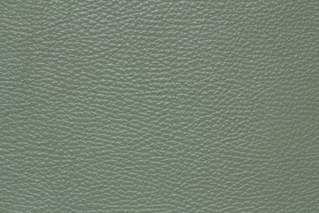 texture of natural aniline leather