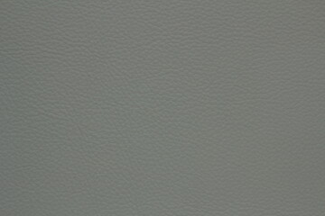 texture of natural aniline leather