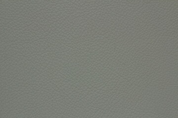 texture of natural aniline leather