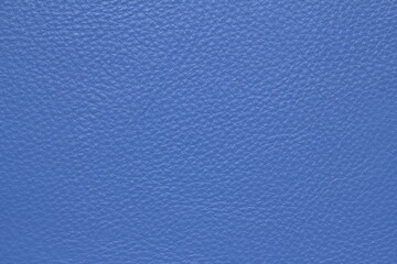 texture of natural aniline leather