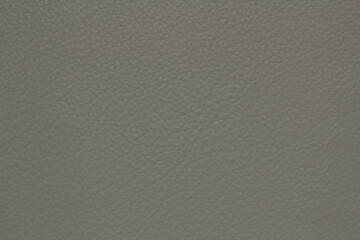 texture of natural aniline leather