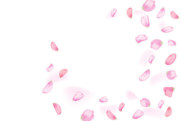 Pink falling sakura petals.Nature horizontal background.