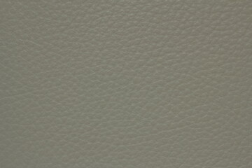 texture of natural aniline leather