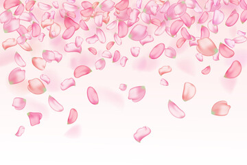Pink falling sakura petals.Nature horizontal background.