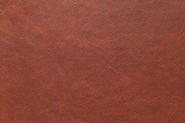 Fototapeta premium skin texture
