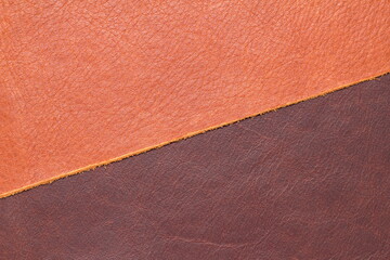Fototapeta premium samples of genuine leather in different colors