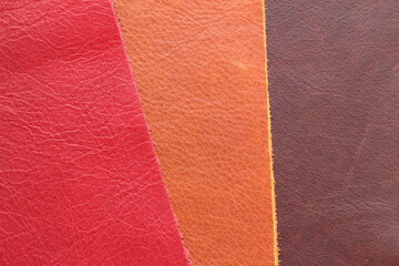 Fototapeta premium samples of genuine leather in different colors