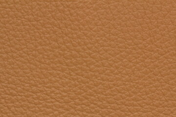 Fototapeta premium skin texture