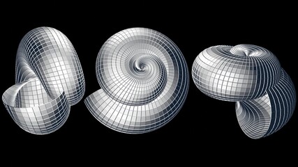 Spiral sea shell . Seashell 3d geometry . 3d render illustration 