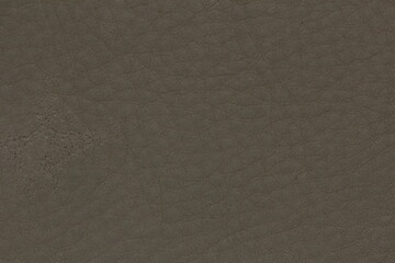 texture of natural aniline leather
