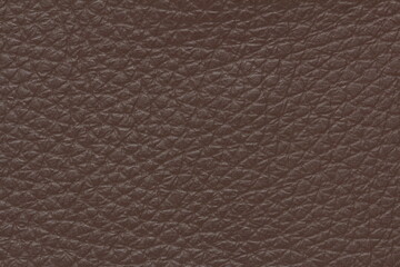 texture of natural aniline leather