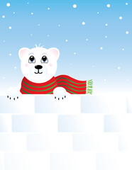 Polar Bear peaking over snow winter scene