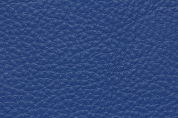 texture of natural aniline leather