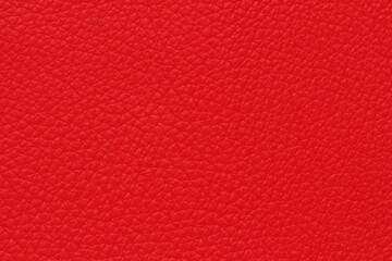 texture of natural aniline leather