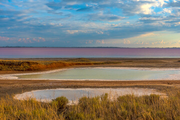 Sasyk Sivash  salt lake with pink water.