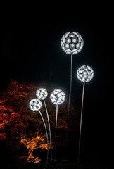 Illuminated dandelion has on the Waddesdon Manor winter lights trail.