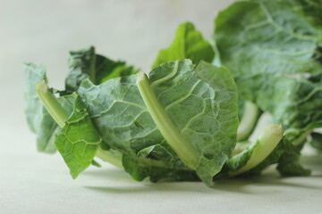 Capsicum leaves without capsicum kept for a concept shoot