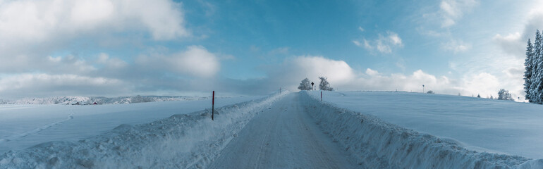 Schneebedeckte  Strasse in verschneiter Winterlandschaft - obrazy, fototapety, plakaty
