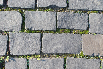 City park. Beautiful landscape. Close-up of gray natural stone. Moss.