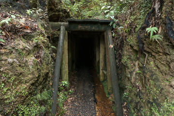 Historic rail tunnel, a part of an old gold mine transportation system located in North Island in New Zealand