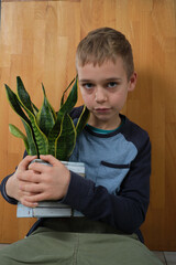 młody chłopak trzyma w dłoniach kwiat doniczkowy 