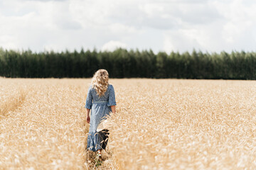 Naklejka na ściany i meble girl runs through a wheat field. High quality photo
