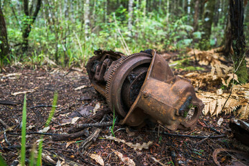 Mining relics at the historical mining trail of Main Range Track and Collins Drive Circuit, New Zealand