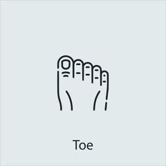 toe  icon vector icon.Editable stroke.linear style sign for use web design and mobile apps,logo.Symbol illustration.Pixel vector graphics - Vector