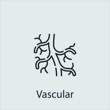 vascular  icon vector icon.Editable stroke.linear style sign for use web design and mobile apps,logo.Symbol illustration.Pixel vector graphics - Vector